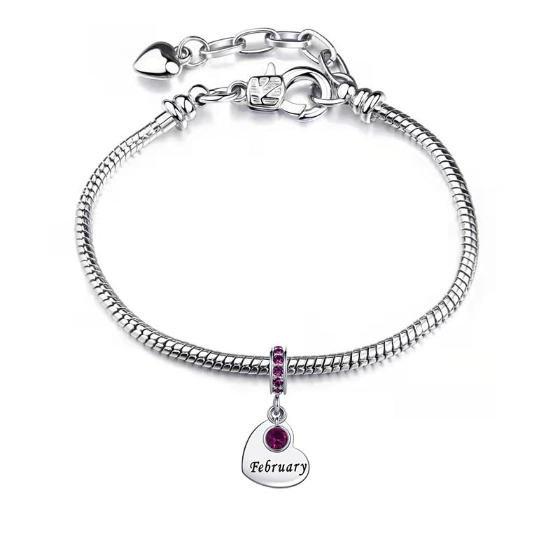 NARTGO January-December Birthstone Birthday Charm Heart Dangle Beads Jewelry Gift for Women Compatible with Pandora Bracelets & Necklaces - style: February Birthstone