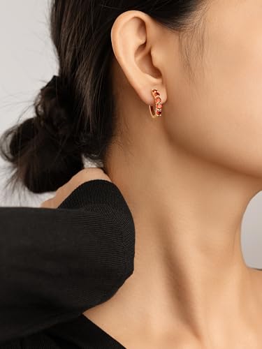 Evabelle Gold Hoop Earrings for Women 14K Real Gold Plated Cubic Zirconia Diamond Hoop Earrings Huggie Hoop Earring Women Earrings Earring for Men 925 Sterling Silver Post Hypoallergenic - color: Hoops 14-Red-14K Gold Plated