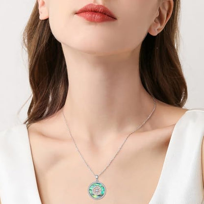 AOBOCO 2026 Graduation Gifts 925 Sterling Silver Compass Pendant Necklace High School College Graduation Jewelry Gifts for Women Daughter - style: C-Abalone