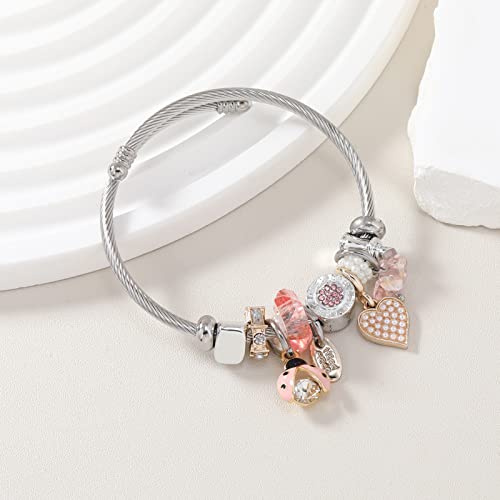 DS Charm Bracelets for girls,exquisite cute cartoon friendship bracelets Silver Stainless Steel Bangle with birthday Gift box, Adjustable girls jewelry Suitable for holiday gifts - style: Silver-pink beetle
