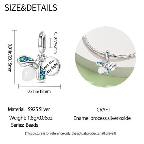 925 Sterling Silver Charms for Bracelets and Necklaces Beads Charms Jewelry Gift for Women - color: Silver