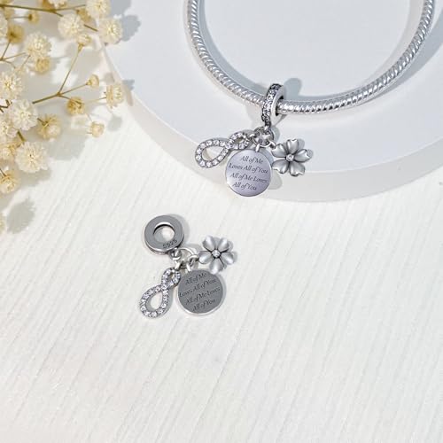 925 Sterling Silver Bead Charm for Pandora Bracelets and Necklaces,Pink Bow Cherry Butterfly Blue Ocean Pendant Bead Charms Jewelry Present Valentines Gifts for Wife/Girlfriend Women - style: All of Me Loves All of You