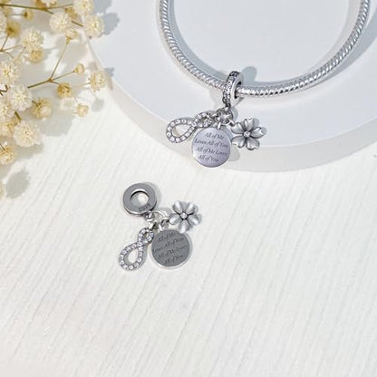 925 Sterling Silver Bead Charm for Pandora Bracelets and Necklaces,Pink Bow Cherry Butterfly Blue Ocean Pendant Bead Charms Jewelry Present Valentines Gifts for Wife/Girlfriend Women - style: All of Me Loves All of You