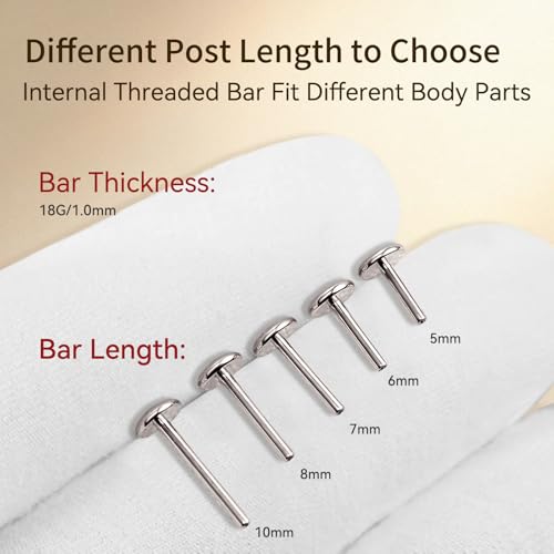 limerencia 16G/18G Hypoallergenic Internal Threaded Titanium Bar Post Replacement,Flat Back Stud Earrings Post Medusa Helix Couch Labret Bar for Women Men Sensitive Ears(A Pair) - color: silver tone, size: 18G-6mm