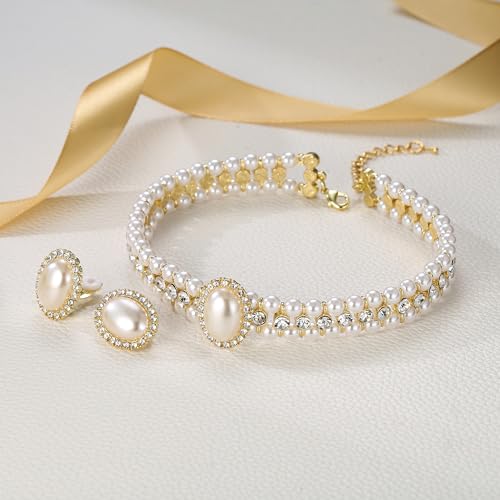 BriLove 1920s Costume Jewelry Set for Women,Vintage Multilayer Simulated Pearl Crystal Necklace Bracelet Earrings Cosplay Party Accessories - style: 2pcs Clip-On