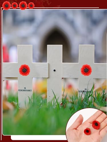 JUNEBRUSHS 28 Pcs Memorial Day Poppy Flower Pins Resin Red Poppy Brooch Lapel Pin Lest We Forget Poppy Pins for Remembrance Veterans Day Wedding Home Garden Decoration (2 Size) - style: Poppy Flower Style