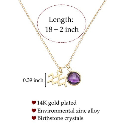 14k Gold Plated Zodiac Birthstone Crystal Pendant Necklace, Horoscope Sign Charm Necklace for Women Birthday Gift - color: Aquarius-Feb.