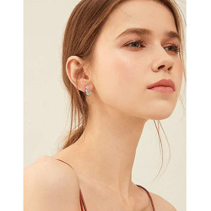 CiNily 14K White Gold Plated Small Hoop Earrings for Women Girls Heart Cubic Zirconia Hypoallergenic Earrings - color: Silver-white