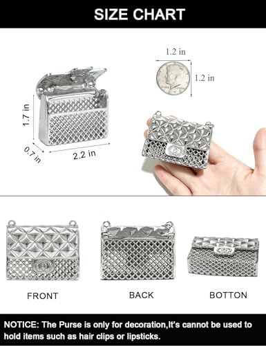 BEMYLV Mini Chain Belt Purse Silver Waist Bag for Women Fashion Fanny Pack | Trendy Detachable Waist Purse Cute Bag for Dresses Jeans - color: Pale Silver