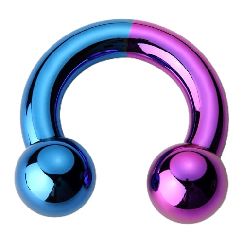BodyBonita Anodized Septum Rings, G23 Titanium Nose Ring Horseshoe, Large PA Ring 6G 8G 12G, Internally Threaded Circular Barbell Stretched Gauges for Ears, CBR Body Piercing Jewelry for Women Men - color: Anodized Purple&Blue, size: 6G(4mm)-12mm