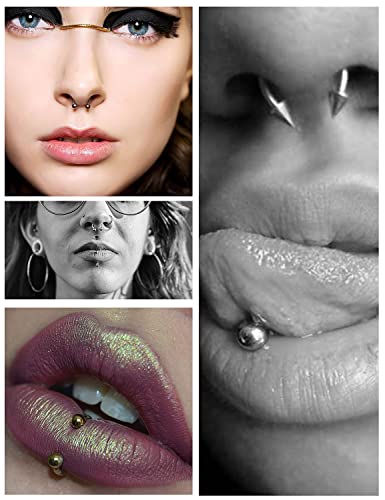20G 18G 16G 14g Septum Rings Surgical Steel Horseshoe Nose Septum Rings Cartilage Helix Tragus Rook Daith Earring Hoop Lip Piercing Jewelry Retainer for Women Men - style: 16g 10mm