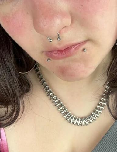 20G 18G 16G 14G 12G Lip Labret Monroe Medusa Nose Rings Stud 316L Surgical Steel Tragus Helix Cartilage Earring Tongue Cheek Piercing Jewelry Bars 6mm 8mm 10mm 12mm 14mm 16mm 19mm 18PCS - color: Silver, size: 16G - 12mm