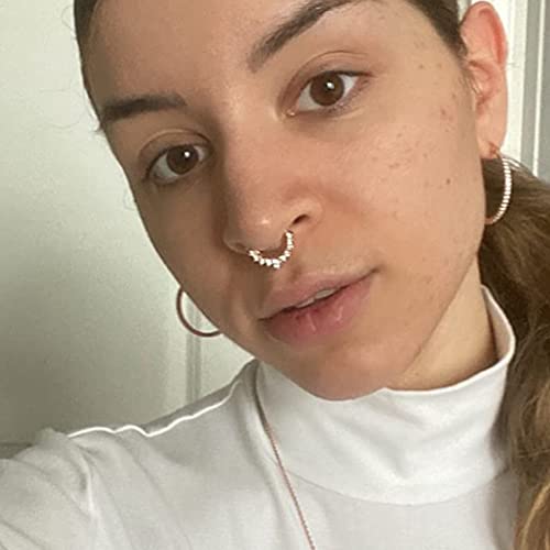 Fake Nose Ring Hoop Double Fake Septum Rings Fake Nose Piercing Clip on Earring Hoops Faux Nose Rings Lip Ring - color: A21-silver+rose gold