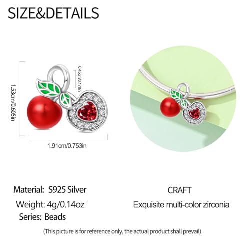 Pandach Animal Charm Bead fits Charms Bracelets for Woman-925 Sterling Silver Dangle Pendant Bead,Jewelry Beads Gifts for Women Bracelet&Necklace - style: Cherry Beads