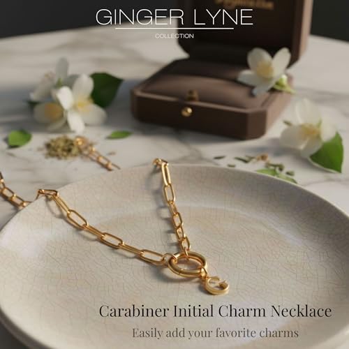 Paperclip Chain Carabiner Initial Charm Holder Necklace by Ginger Lyne | 18K Gold-Plated or Silver Tone Paperclip Chain with Carabiner Charm Holder, Adjustable 18-20 Inch, A-Z Initial Pendant - color: Gold-D