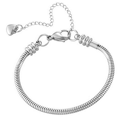 Women Snake Chain Charms Bracelet Moments Slider Love Memorial Stainless Steel Bracelet fit Charm Beads, 6 Inch