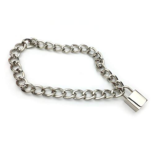 Succuba Padlock Necklace Metal Chain Collar Choker Heart Lock Necklace with Key and Box for Women, Men and Pet (16 to 22 Inches) - color: C