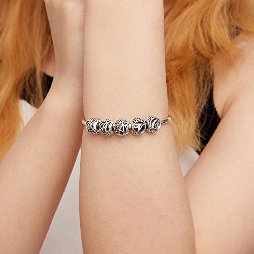 Letter Charms 925 Sterling Silver Initial A-Z Bead Charms | For Bracelets Necklaces, Hypoallergenic,Cubic Zirconia Alphabet Beads, Personalized Gifts for Women - color: Z