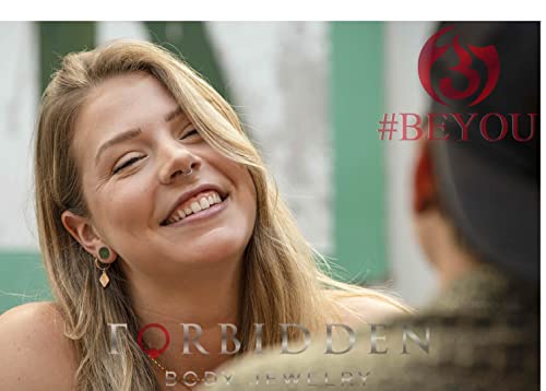 Forbidden Body Jewelry 316L Surgical Steel Hinged Seamless Nose Rings Hoop 14G 16G 18G, Diameter 6mm 8mm 10mm 12mm, Gold/Rose Gold/Silver/Black/Rainbow Colors. - style: 14g 10mm - Rainbow