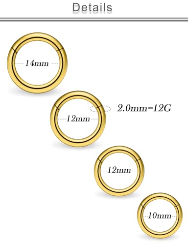 20G 18G 16G 14G 12G 10G Surgical Steel Hinged Clicker Segment Nose Rings Hoop Lip Rings Helix Cartilage Daith Tragus Sleeper Earrings Body Piercing for Women Men 6mm 8mm 10mm 12mm 14mm 16mm - color: Gold-12G（2.0mm)-Inner Diameter: 10mm 12mm 14mm 16mm
