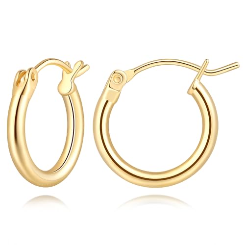 14K Gold Hoop Earrings, Huggie Hoop Earrings for Women, Hypoallergenic Lightweight Small Hoop Earring for Womens 14mm/16mm/18mm - color: 14mm
