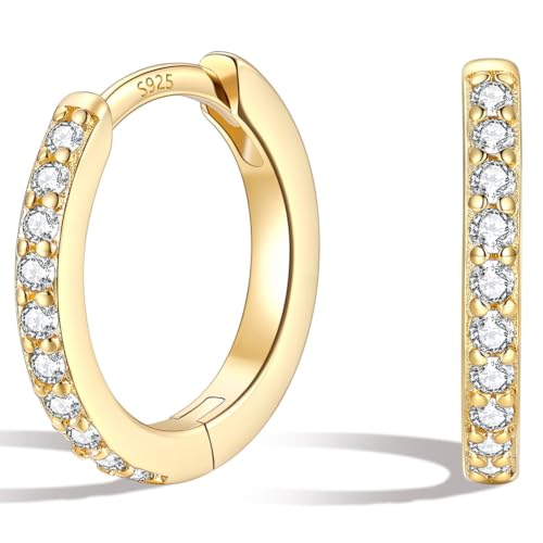 Silvora 925 Sterling Silver Huggie Hoop Earrings for Women, Small Hoop Earrings for Women, Cubic Zirconia Cartilage Earrings for Sensitive Ears, 6/8/10/12/14/16/18/20mm - color: A.14K Gold Plated, size: 10MM