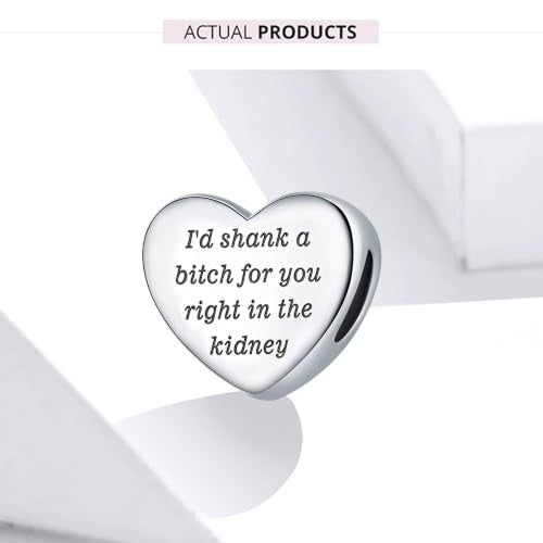 Heart Charm Fit for Pandora Charms Bracelet Inspirational Engraving Jewelry Personality Encouragement Gifts for Women - style: I'd shank a bi♡ch for you right in the kidney