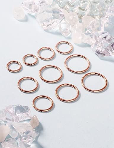 Vsnnsns 14G 16G Septum Nose Rings Hoops Lip Ring Piercing Jewelry 316L Surgical Steel Hinged Segment Clicker Cartilage Tragus Helix Conch Rook Daith Lobe Earrings Hoops Piercing Jewelry for Women Men - color: 14G-Rose Gold