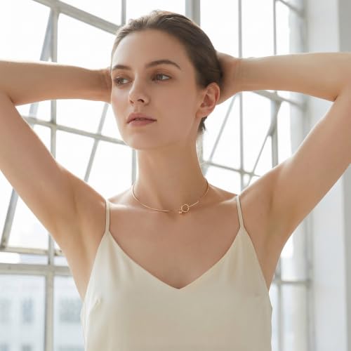 2Pcs Wire Collar Necklace Plain Choker Collar for Women | Stainless Steel Gold Silver Wire Collar Necklace for DIY Craft, Jewelry Making (Insert Clasp)