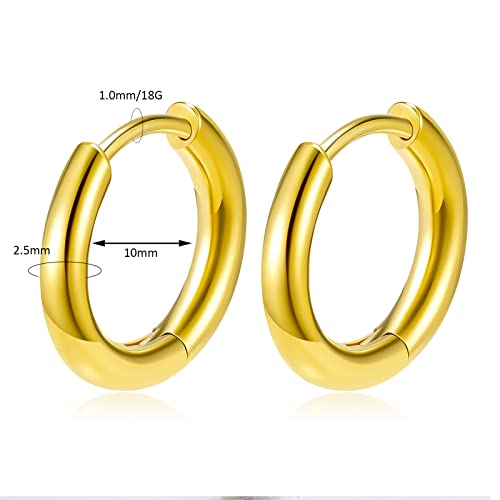Titanium Huggie Hoop Earrings Hypoallergenic Nickel Free Hinged Sleeper Earrings for Sensitive Skin Cartilage Helix Lobes - style: Huggie 10mm gold