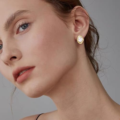 FANZE 2 Pairs Matte Gold Sliver Clip on Earrings for Women No Piercing | No Piercing Button Earring Comfortable Fashion Jewelry Gift - color: Set-12