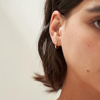 Small Hoop Earrings for Women, Stainless Steel Huggie Hoop earrings, 18G | 2/4/6 Pairs, 6mm/8mm/12mm Small Hoop Earrings, Lobe Helix Conch Tragus Daith Rook Cartilage Piercing Jewelry,Gold Silver - color: Golden-2 pairs-12mm