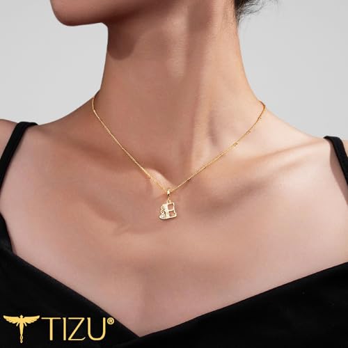 TIZU Initial Necklaces for Women - Dainty 14K Gold Plated Letter Pendant Trendy Personalized Initial A-Z Necklaces Jewelry Gift - color: Gold-E