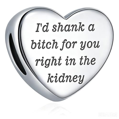 Heart Charm Fit for Pandora Charms Bracelet Inspirational Engraving Jewelry Personality Encouragement Gifts for Women - style: I'd shank a bi♡ch for you right in the kidney