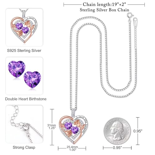 Iefil Heart Birthstone Necklace for Women - Double Birthstone Jewelry | 925 Sterling Silver, Gift Box Packaging, Anniversary Birthday Gifts for Women Wife Mom - color: 02-02-Feb-Feb Birthstone