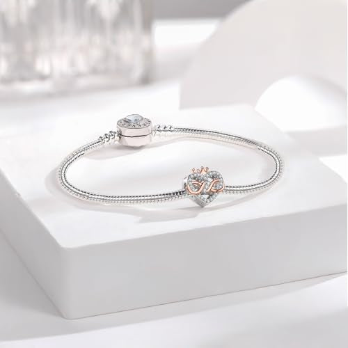 925 Sterling Silver Charms fits Bracelets and Necklace Pendant Bead Charms Jewelry Gift for Women Family Friends - style: Queen in My Heart Charm