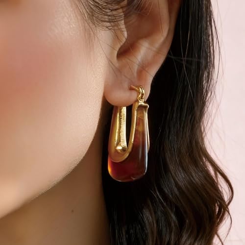 Dr's gift Chunky Leopard Print Earrings for Women 14K Gold Plated Statement Huggie Hoop Earrings Brown Acrylic Tortoise Resin Cheetah Trendy Jewelry - color: Brown 2