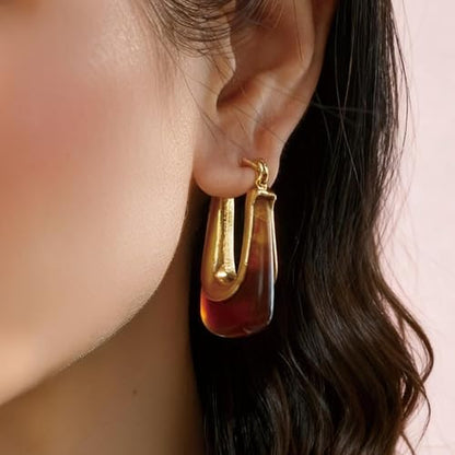 Dr's gift Chunky Leopard Print Earrings for Women 14K Gold Plated Statement Huggie Hoop Earrings Brown Acrylic Tortoise Resin Cheetah Trendy Jewelry - color: Brown 2