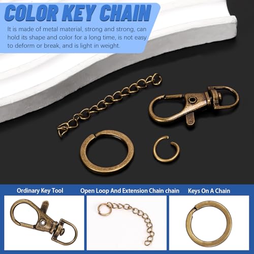 Glarks 125pcs Bronze Keychain Making Kit, Keychain Craft Supplies Including Key Chain Clips with Chains, Lobster Claw Clasps, Key Rings and Jump Rings for Jewelry Craft Making - color: Bronze