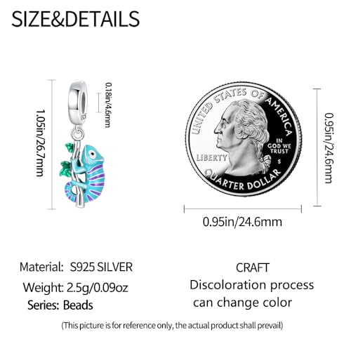 HappyStar 925 Sterling Silver Animal Dogs Charms Pendants fit Pandora Bracelets Necklaces Flowers Sports Travel Charms for Bracelets Women Jrwelry Gifts(with one Spacer Bead Charms) - style: Chameleon Charm