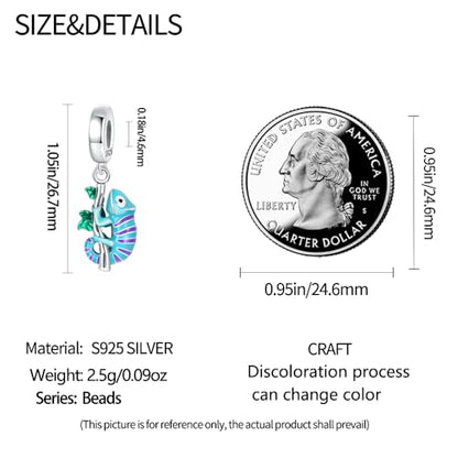 HappyStar 925 Sterling Silver Animal Dogs Charms Pendants fit Pandora Bracelets Necklaces Flowers Sports Travel Charms for Bracelets Women Jrwelry Gifts(with one Spacer Bead Charms) - style: Chameleon Charm