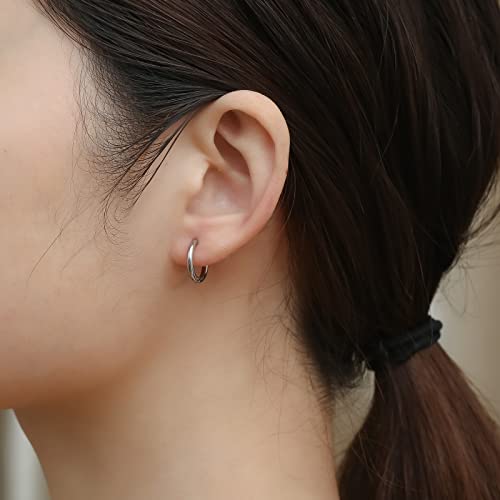 316L Surgical Stainless Steel Small Hoop Earrings 8mm 10mm 12mm 14mm Hypoallergenic Huggie Hoop Earrings Helix Lobes Hinged Sleeper Earrings Cartilage Piercings - color: E: Silver (Diameter 8mm/10mm/12mm/14mm),4 Pairs