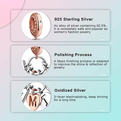 Family Love Mother Daughter Grandma Charm 925 Sterling Silver fits Bracelets Necklace Pendant Bead Charms Jewelry Gift for Women Family Friends - color: Family Charm