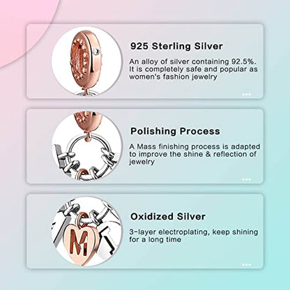 Family Love Mother Daughter Grandma Charm 925 Sterling Silver fits Bracelets Necklace Pendant Bead Charms Jewelry Gift for Women Family Friends - color: Family Charm