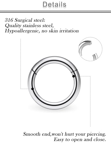 20G 18G 16G 14G 12G 10G Surgical Steel Hinged Clicker Segment Nose Rings Hoop Lip Rings Helix Cartilage Daith Tragus Sleeper Earrings Body Piercing for Women Men 6mm 8mm 10mm 12mm 14mm 16mm - color: Silver-12G（2.0mm)-Inner Diameter: 10mm 12mm 14mm 16mm