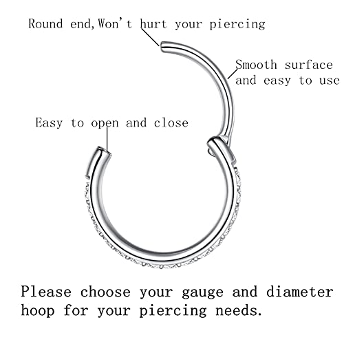 316L Surgical Steel Seamless Nose Ring Cartilage Hoop Silver/Gold/Rose Gold/Black 16G 18G 20G 6mm-12mm CZ Paved Helix Rook Tragus Lobe Body Pierecing Jewelry Segment Clicker Lip Rings Rook Earrings - color: Silver, size: 20 Gauge 8mm