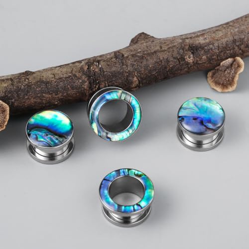 2 Pairs Abalone Pearl Shell Stainless Steel Ear Gauges Plugs and Tunnels, Size 2g - 1 inch Hypoallergenic Surgical Steel Ear Stretcher Expander Body Jewelry - color: BO1651 Silver, size: 8 mm (0g)
