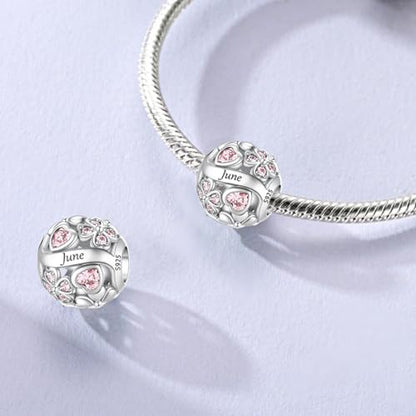 LNQOBU 925 Sterling Silve Lucky Birthstone Charm for Bracelets, With 5A Cubic Zirconia Birthday Charms Dangle Pendant Bead for Pandora Bracelets and Necklaces - color: F1-June