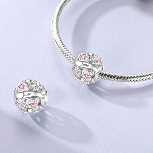 LNQOBU 925 Sterling Silve Lucky Birthstone Charm for Bracelets, With 5A Cubic Zirconia Birthday Charms Dangle Pendant Bead for Pandora Bracelets and Necklaces - color: F1-June