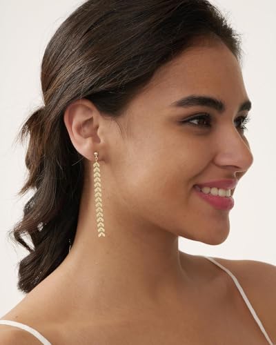 Dangle Earrings for Women - 14K Gold/White Gold/Rose Gold Plated Butterfly Heart Star Hoop Chain Long Tassel Cubic Zirconia CZ Dangle Earrings - color: Wheat